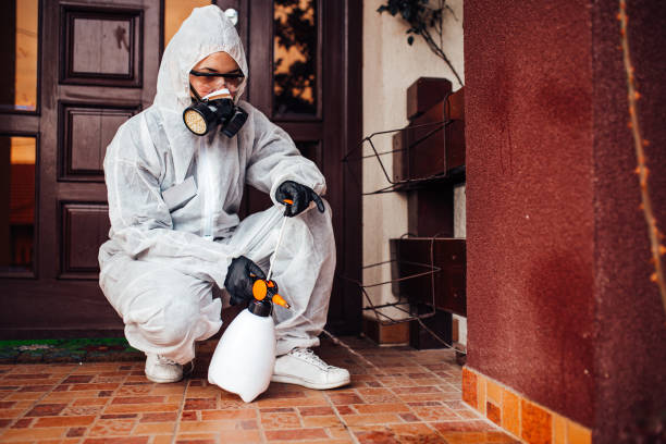 Attic and Crawl Space Rodent Treatment in Odessa
